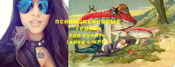 ПСИЛОЦИБИНОВЫЕ ГРИБЫ Каменск-Шахтинский