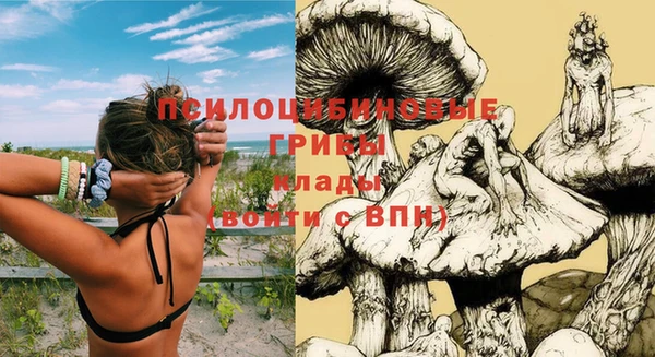 соль курить ск Каменногорск