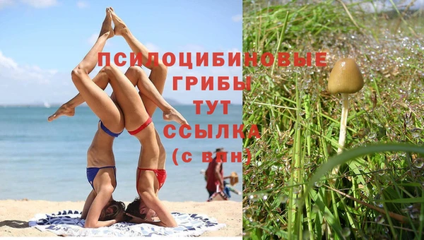 скорость Инта